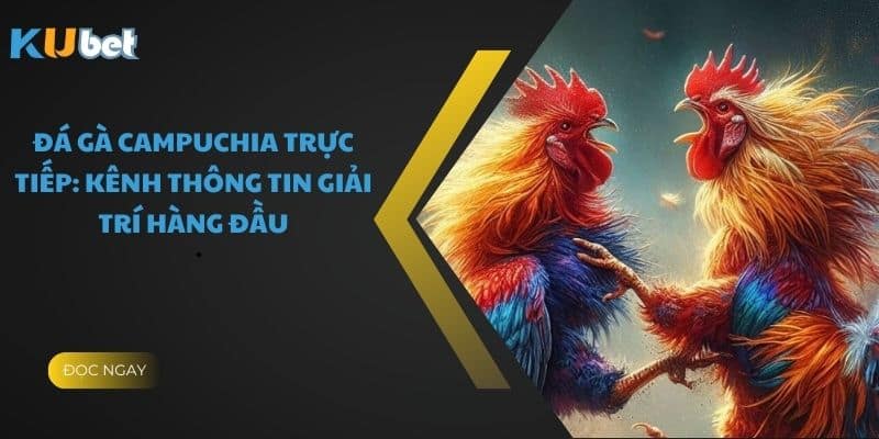 Đá Gà Campuchia Trực Tiếp: Kênh Thông Tin Giải Trí Hàng Đầu