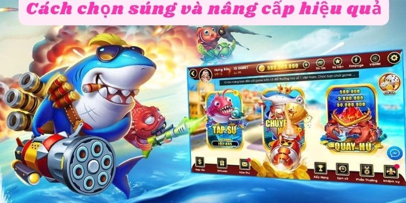 Tổng quan về bắn cá tiên