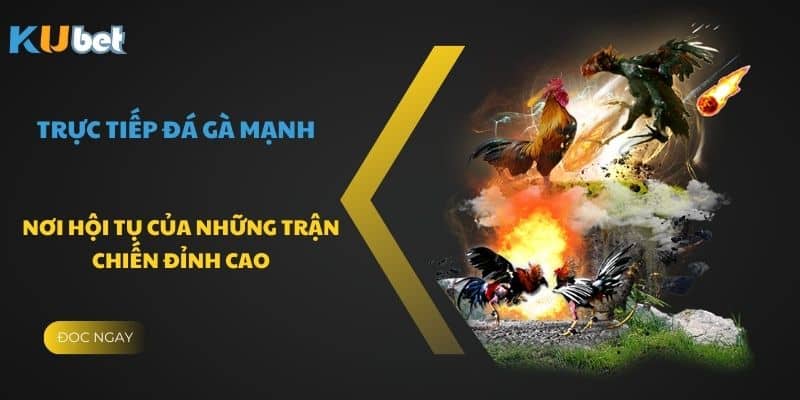 Hội tụ những chiến đẳng cấp và mạnh mẽ