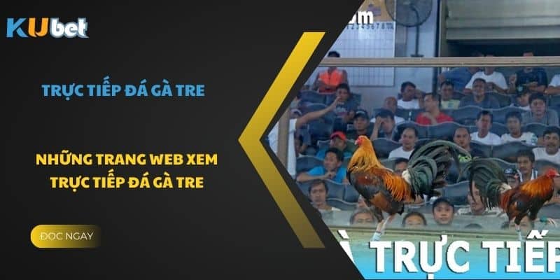 Khám phá các web trực tiếp đá gà tre