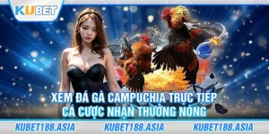 Đá Gà Campuchia Trực Tiếp