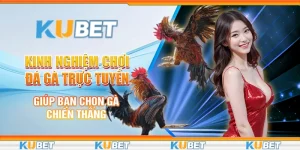 Kinh nghiệm chơi đá gà trực tuyến